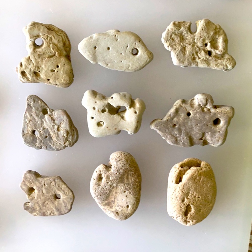 🌊 Special Hag Stones ☺️ approx $7 each